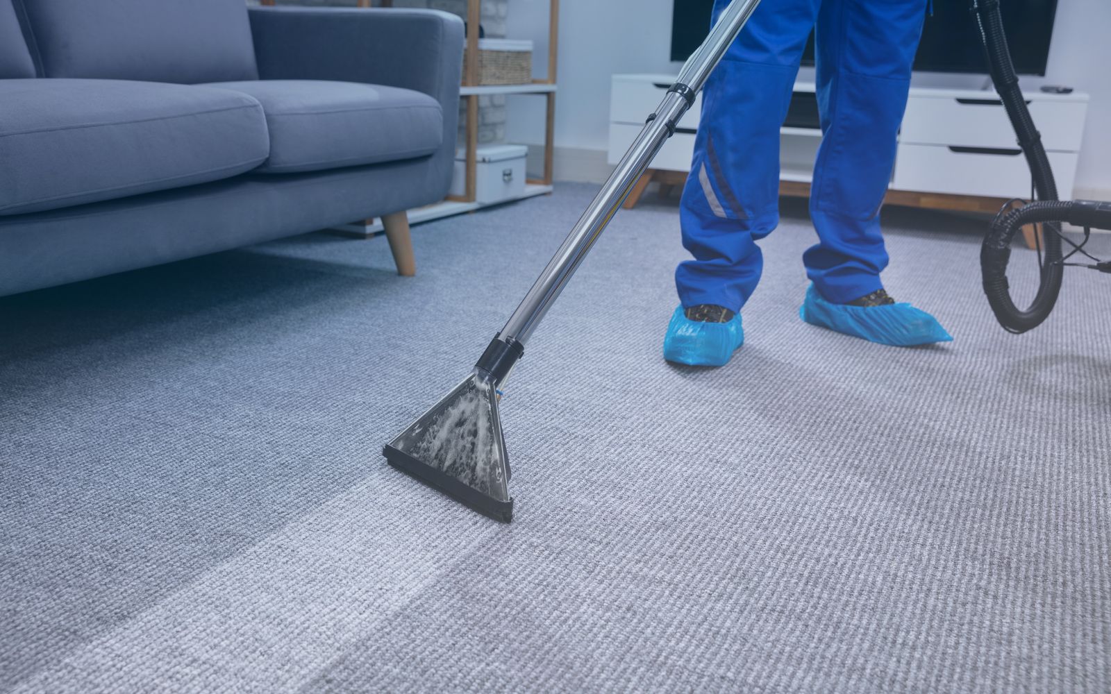 Carpet Cleaning